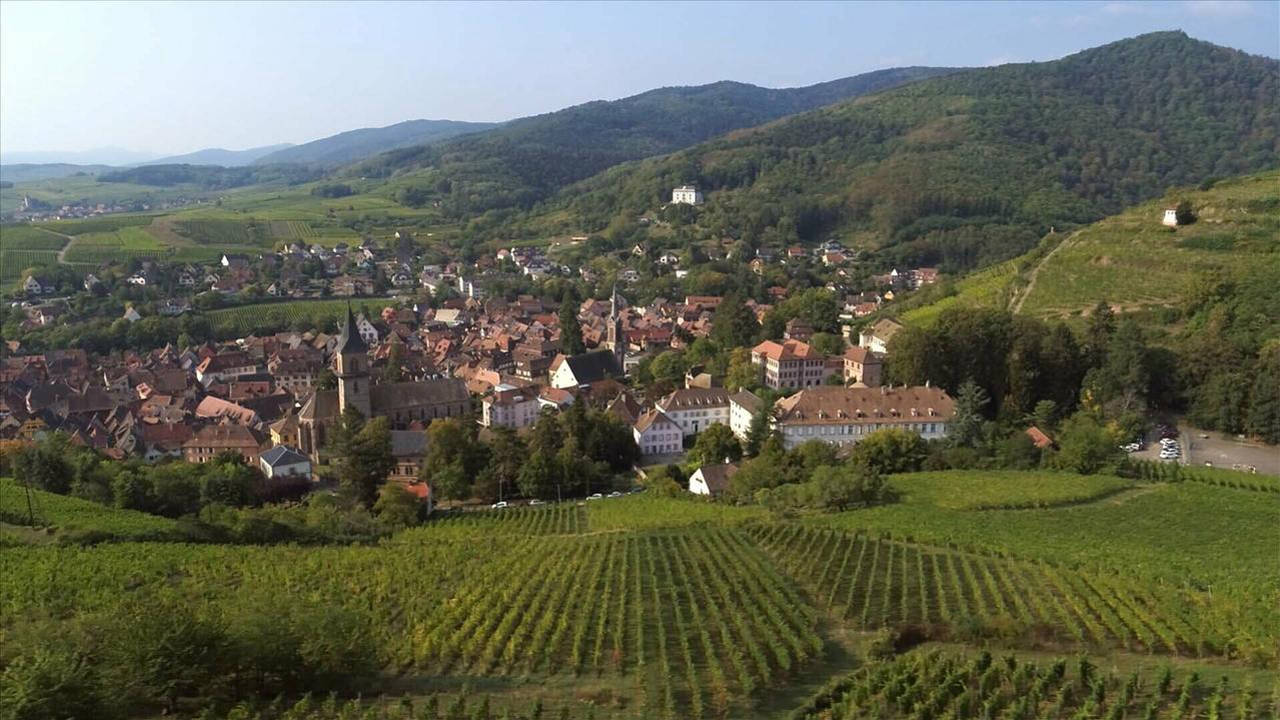 L'Alsace, de la plaine d'Alsace au massif des...